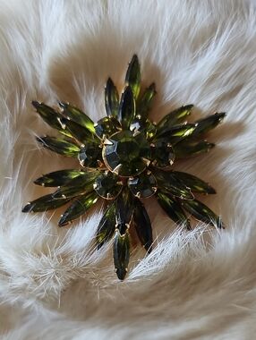 Gorgeous Brooche